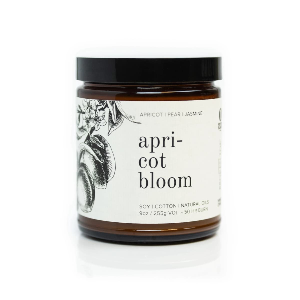 Apricot Bloom