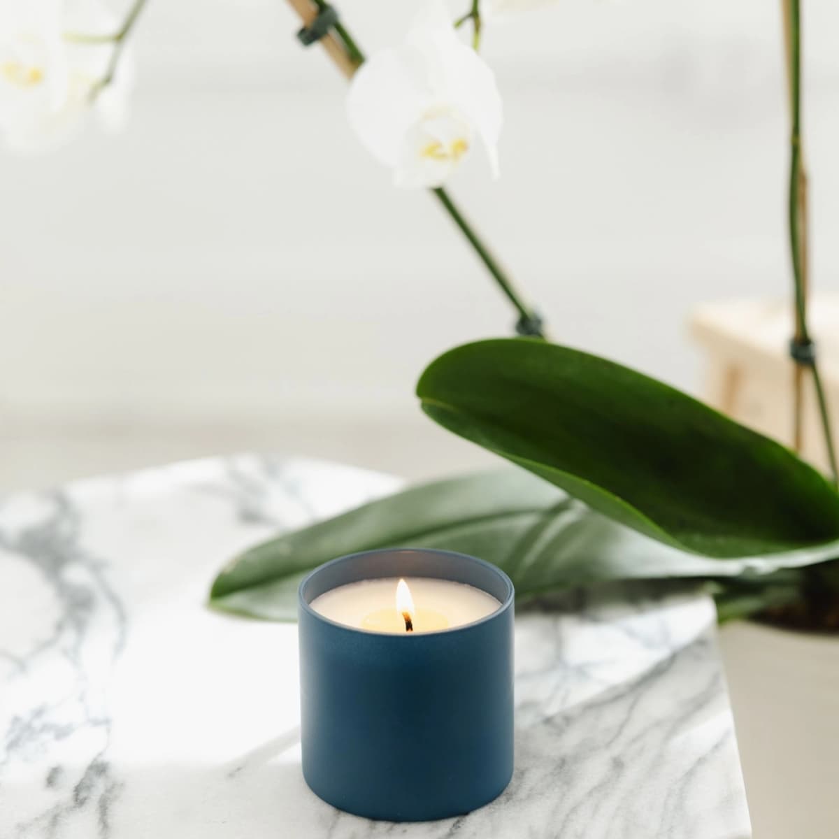 Oakmoss + Amber Dignity Series Soy Candle