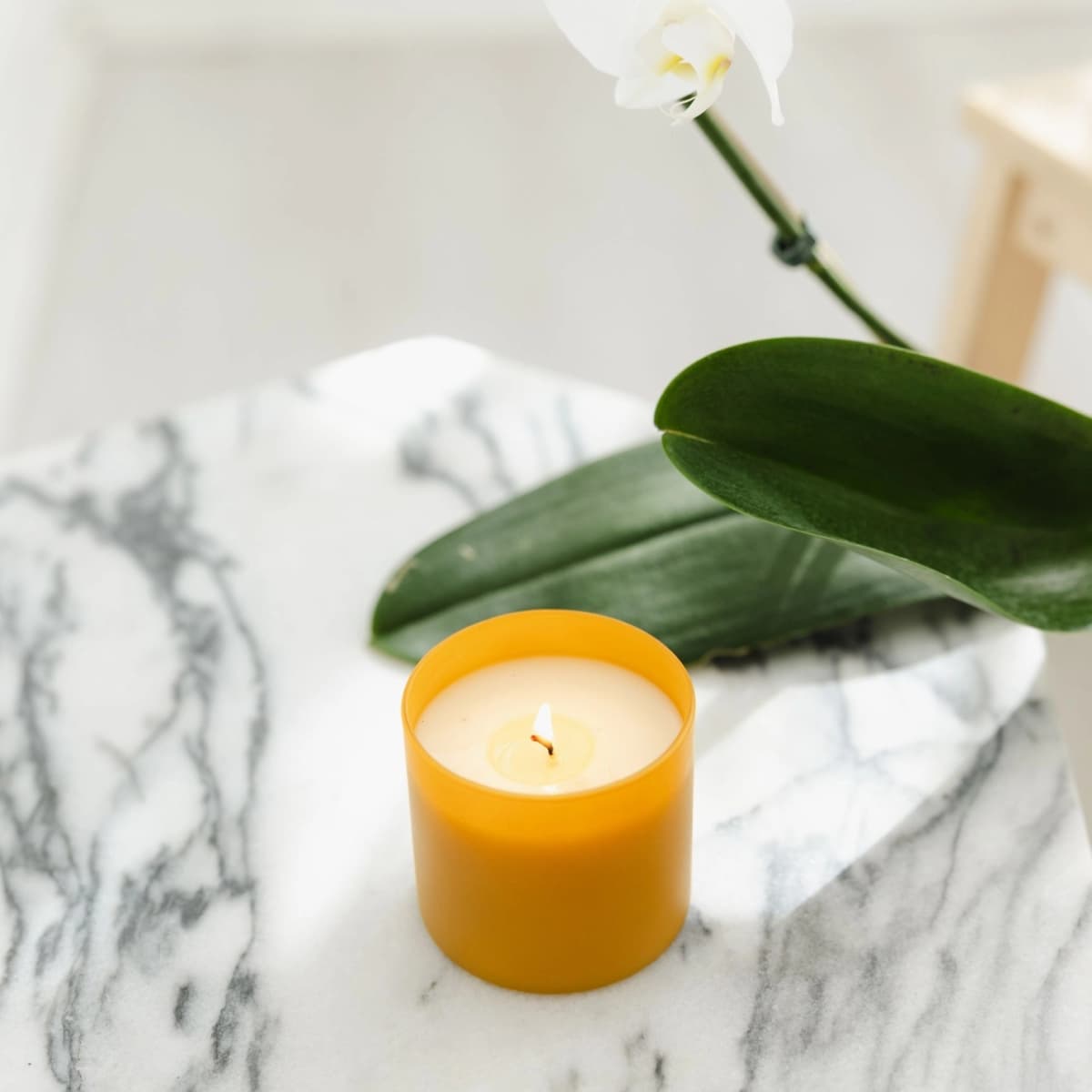 Vetiver + Tonka Dignity Series Soy Candle
