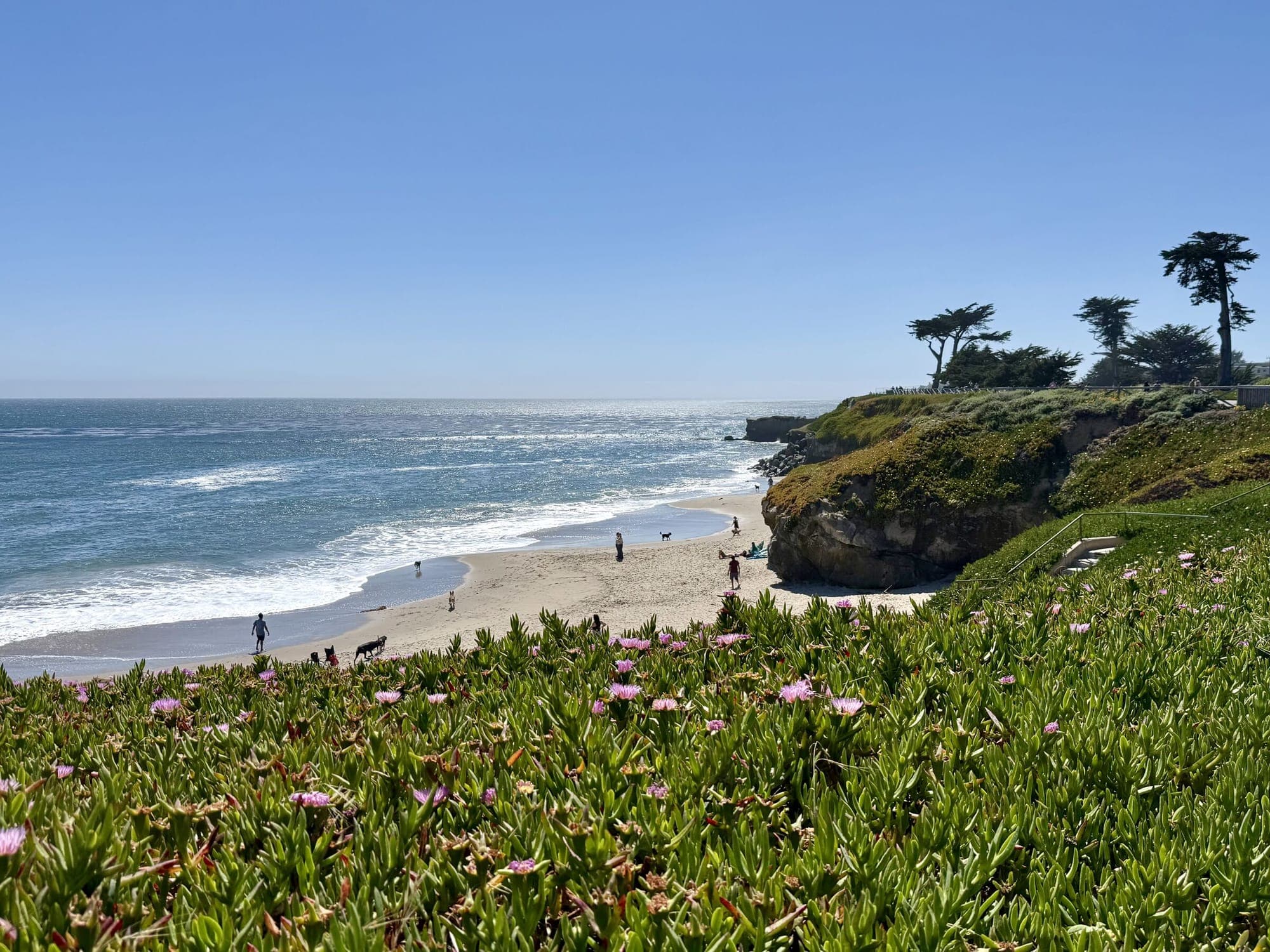 Coastal & Marine