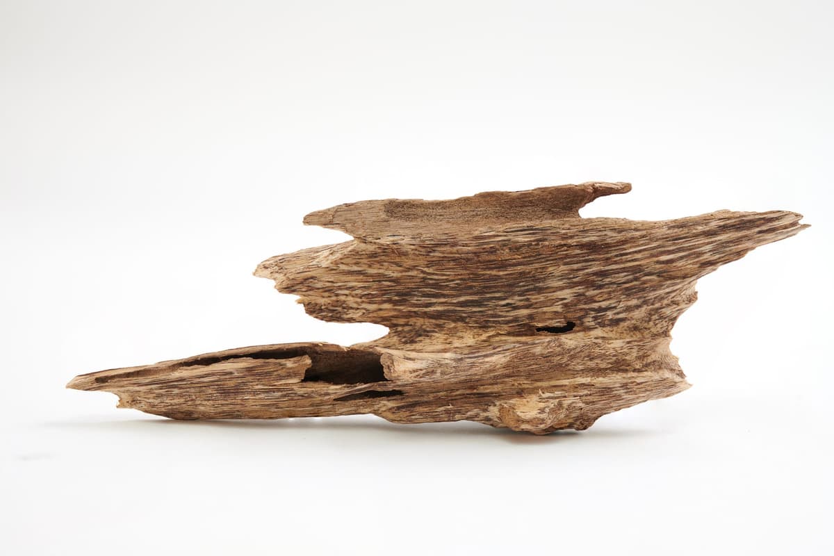 Oud exotic scene