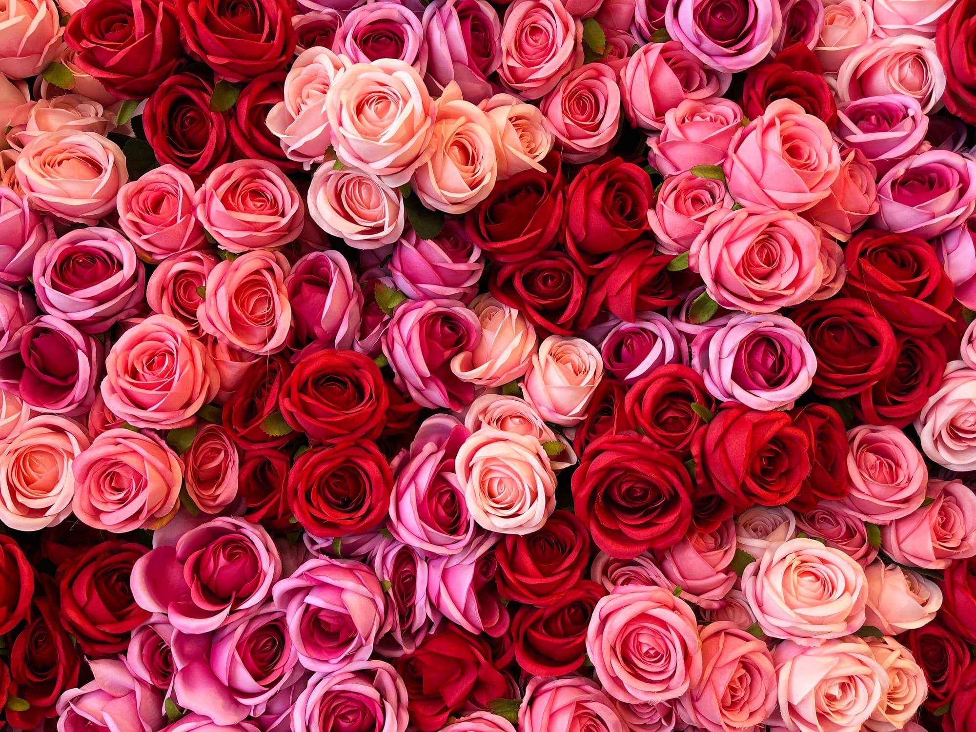 Fragrance Families Explained